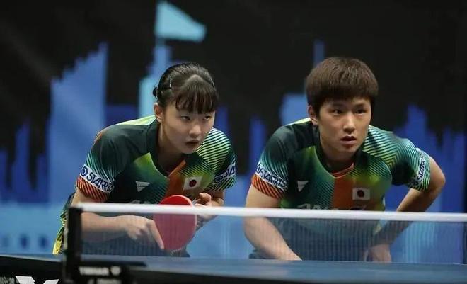 这不仅归因 这不仅归因