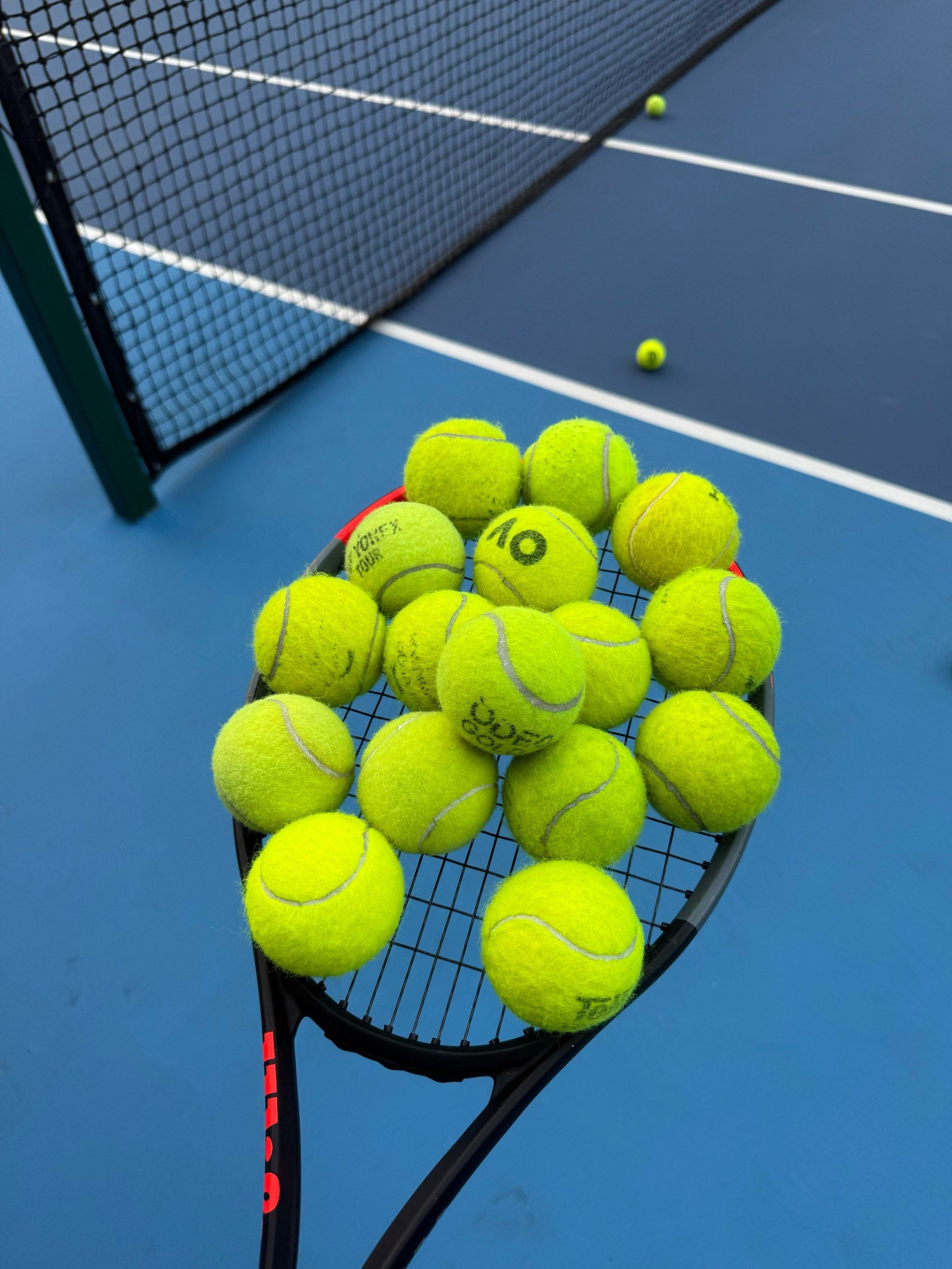 使得香港组 使得香港组